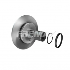 DISCO DE FREIO TRASEIRO SOLIDO COM CUBO  + ROLAMENTO , PEUGEOT 308, 408,CITROEN C4, DS4 249MM 4 FUROS  BD4034KT